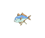 Fish - Umihara Kawase Shun (JPN)