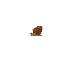 Snail - Umihara Kawase Shun (JPN)