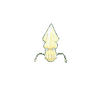 Squid - Umihara Kawase Shun (JPN)