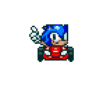 Sonic R Kart (Super Mario Kart-Style) - Sonic the Hedgehog Customs