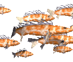 Fish - Might and Magic 8: Day of the Destroyer