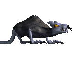 Giant Rat - Might and Magic 7: For Blood and Honor