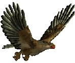 Roc - Might and Magic 7: For Blood and Honor