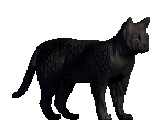 Cat - Might and Magic 7: For Blood and Honor