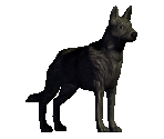 Dog - Might and Magic 7: For Blood and Honor