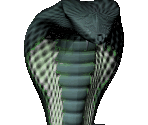 Cobra - Might and Magic 6: The Mandate of Heaven