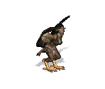 Harpy - Heroes of Might and Magic 3