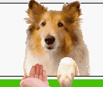 Shake! - WarioWare, Inc.: Mega Microgames!