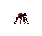 Spider - The Lion King