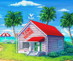 Kame House - Dragon Ball Z: Attack of the Saiyans