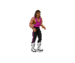 Bret "The Hitman" Hart - WWF Royal Rumble