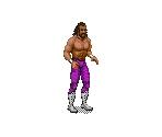 "Macho Man" Randy Savage - WWF Royal Rumble