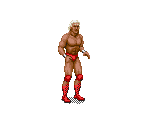 Ric Flair - WWF Royal Rumble