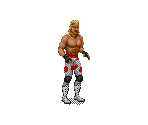 Shawn Michaels - WWF Royal Rumble