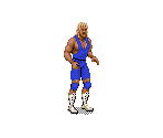 Mr. Perfect - WWF Royal Rumble