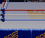 The Ring - WWF Royal Rumble