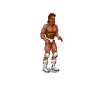 The Narcissist (Lex Luger) - WWF Royal Rumble