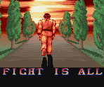Endings - ROM CHECK FAIL