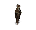 Wight - Heroes of Might and Magic 3