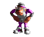 Wrinkly Kong - Donkey Kong Country 3: Dixie Kong's Double Trouble