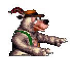 Björn - Donkey Kong Country 3: Dixie Kong's Double Trouble