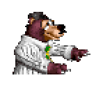 Barter - Donkey Kong Country 3: Dixie Kong's Double Trouble