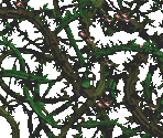 Bramble Backgrounds - Donkey Kong Country 2: Diddy's Kong Quest