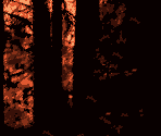 Jungle Backgrounds - Donkey Kong Country 3: Dixie Kong's Double Trouble