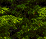 Water Course Backgrounds - Donkey Kong Country 3: Dixie Kong's Double Trouble