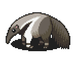 Anteater - Pururun! Shizuku-chan - Meiro no Mori no Doubutsu-tachi