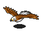 Eagle - Pururun! Shizuku-chan - Meiro no Mori no Doubutsu-tachi
