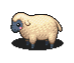 Sheep - Pururun! Shizuku-chan - Meiro no Mori no Doubutsu-tachi