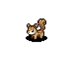 Squirrel - Pururun! Shizuku-chan - Meiro no Mori no Doubutsu-tachi
