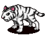 Tiger (White) - Pururun! Shizuku-chan - Meiro no Mori no Doubutsu-tachi