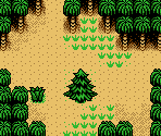 Forest of Sleep - Survival Kids