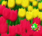Backgrounds - Bust-a-Move DS / Hippatte!! Puzzle Bobble