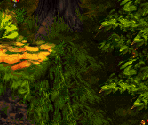 Riverside Race Bonus 1 - Donkey Kong Country 3: Dixie Kong's Double Trouble