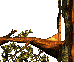 Springin' Spiders Bonus 2 - Donkey Kong Country 3: Dixie Kong's Double Trouble