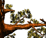 Arich's Ambush - Donkey Kong Country 3: Dixie Kong's Double Trouble