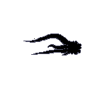 Shadow Grabber - Drawn to Life