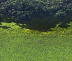 Backgrounds - Warlords: Call to Arms