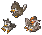 Starly, Staravia & Staraptor - Pokémon Conquest