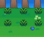 Poké Transfer - Pokémon Black / White