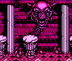 Boss Rooms - Ninja Gaiden