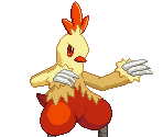 Combusken - Pokémon: Type Wild