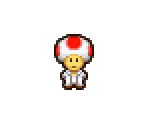 Dr. Toad - Mario & Luigi: Partners in Time