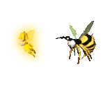 Item Icons & 2D Items - Donkey Kong Barrel Blast / Donkey Kong Jet Race