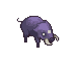 Boars - Adventure Bar Story