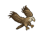 Eagles - Adventure Bar Story