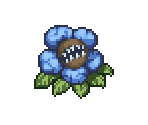 Flowers - Adventure Bar Story